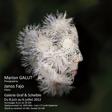 Marion Galut, Synoptique série 3/3, 2012